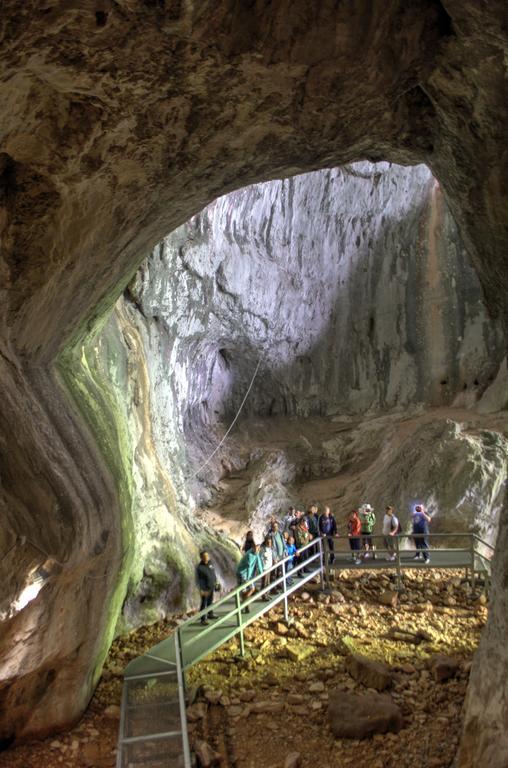 Pensiunea Viorica Arieşeni Dış mekan fotoğraf